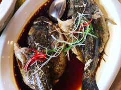 清蒸石头鱼-七仙岭君澜度假酒店·桃源小馆中餐厅