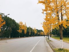 -四川大学(江安校区)