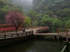 -少华山国家森林公园