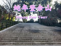 -上海佘山国家森林公园西佘山园