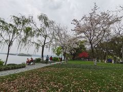 -苏堤停车场