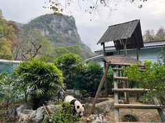 -柳州市动物园