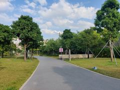 景点-宝安西湾红树林湿地公园