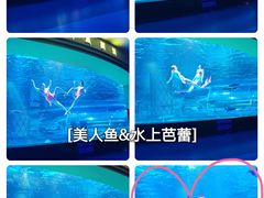 -西双版纳原始森林公园