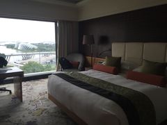 -新加坡文华东方酒店