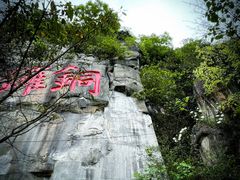 -铁山坪森林公园