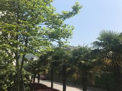 -太湖湾开元名庭大酒店