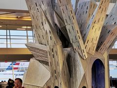 -达拉斯 沃斯堡国际机场