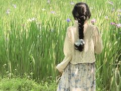 -白鹭湾湿地公园