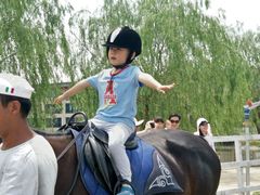 -月河湾马术俱乐部(朝阳店)