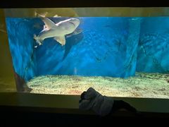 -秦皇岛新澳海底世界