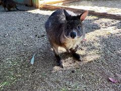 -费瑟代尔野生动物园