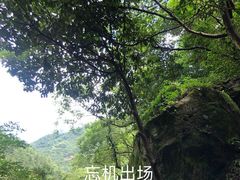 -百杖潭景区