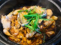 -争鲜·鲍鱼鸡煲(美邻中心店)