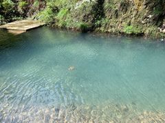 -雁荡山三折瀑景区