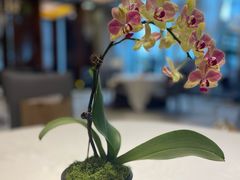 -观海海鲜(蛇口广场店)