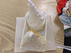 -野人先生Gelato(上海长宁龙之梦店)