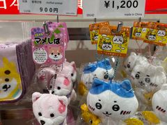 -中部国际机场