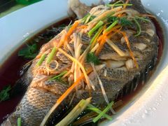 -沿海渔家院海鲜烧烤·东北菜(东戴河店)