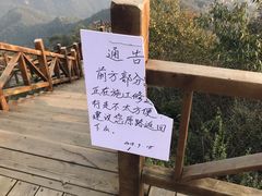 -大岭沟猕猴桃谷风景区