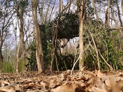 -大蜀山国家森林公园