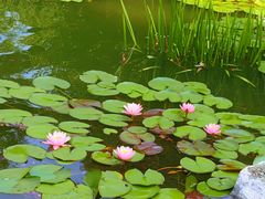 -国家植物园南园