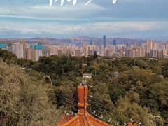 -正宁路小吃夜市