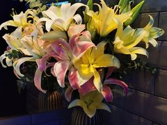 -乌托邦咖啡(武侯祠店)
