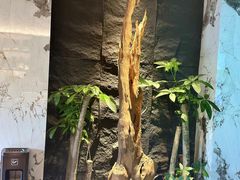 -观宴·品质赣菜(高新大道店)