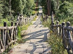 -青龙山国家森林公园