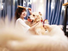 -iF摄影•全家福•证件照•形象照(南山店)