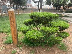 -西安青龙寺遗址景区