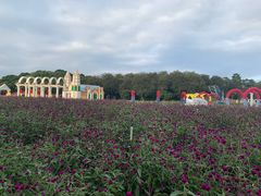 -松山湖梦幻百花洲
