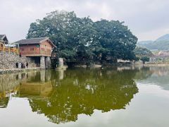 -福建土楼(南靖)景区