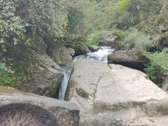 -龙窝子