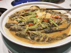 -红椒香·闽北光泽菜·宴请聚会(奥体店)