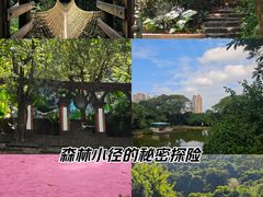 -青青世界