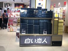 -关西国际机场直营免税店