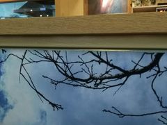 -青岛东方影都融创水世界