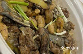 Chicken and Softshell Turtle Stew
