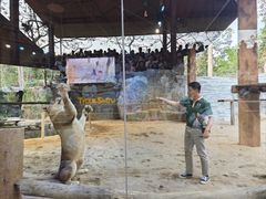 -清迈夜间动物园