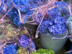 -循礼门鲜花花市(武汉循礼门店)