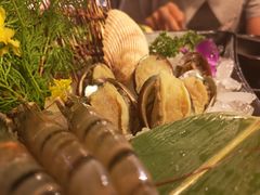 -新马辣经典麻辣锅(昆明店)(昆明店)(昆明店)