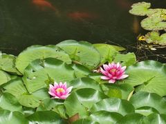 -大连植物园
