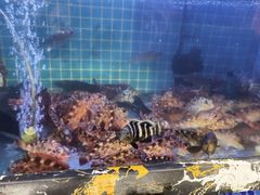 -友强·23年特色海鲜大排档(厦门店)
