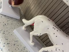 -半岛宠物医院24小时(白果林店)