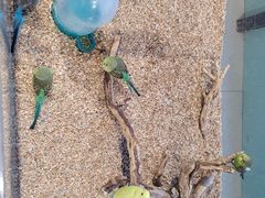 -怪兽屋·羊驼·猫咖·狗咖(俊华广场店)