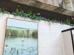 -大湾区中央湿地公园