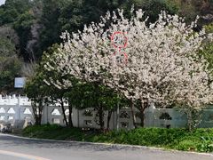 -燕子河大峡谷天坑仙境