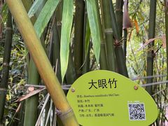 -晓港公园